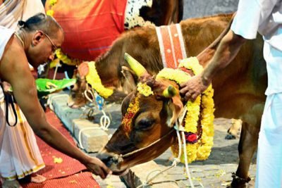 gho-pooja