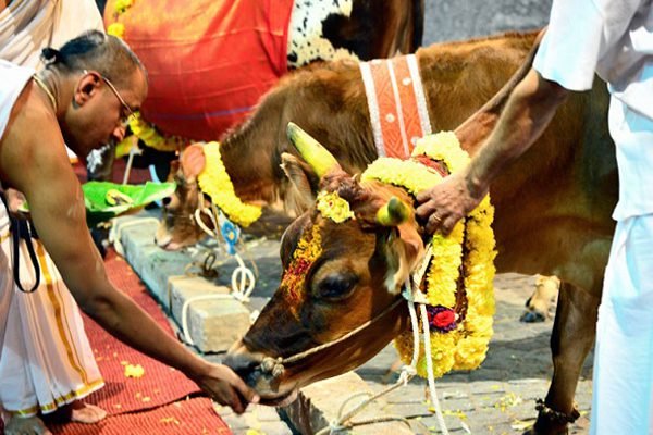 gho-pooja